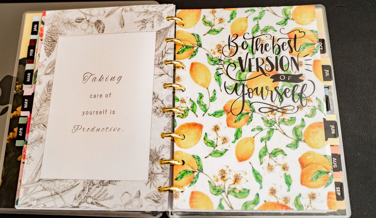 2024 Disc Bound Planner - The Vibe Planner