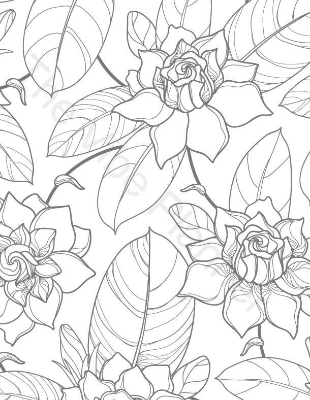 Printable Adult Coloring Book | Stress Relieving Patterns - The Vibe Planner